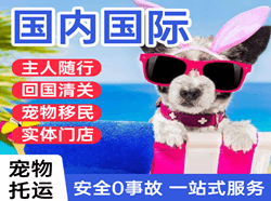 东营胜利空运代理国际宠物托运 【国
